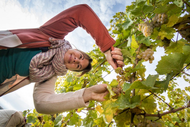 selection livre alsace biodynamie