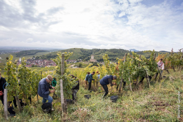 selection livre alsace biodynamie