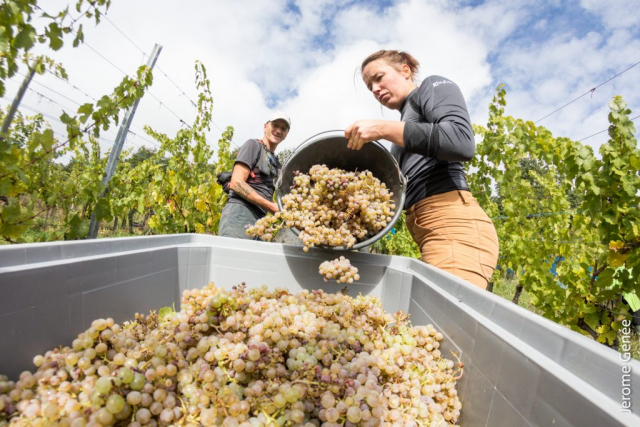selection livre alsace biodynamie
