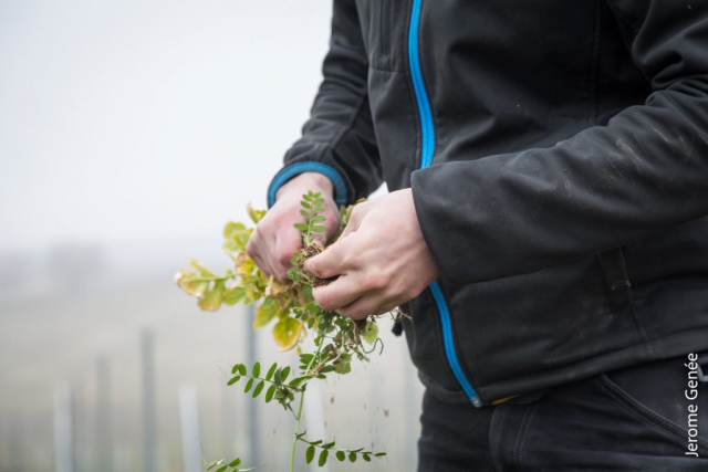 selection livre alsace biodynamie