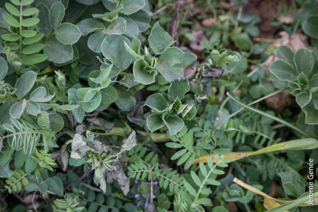 selection livre alsace biodynamie