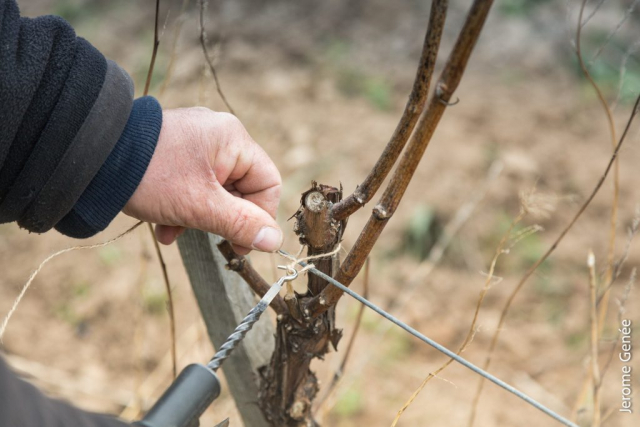 selection livre alsace biodynamie
