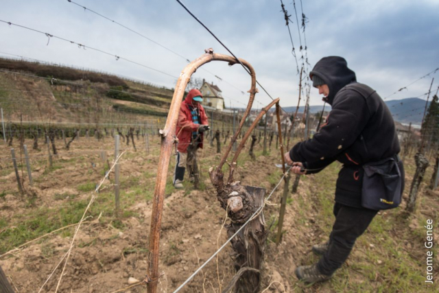 selection livre alsace biodynamie