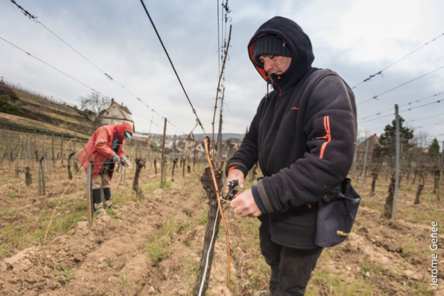 selection livre alsace biodynamie