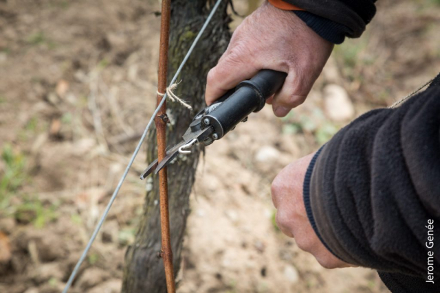 selection livre alsace biodynamie
