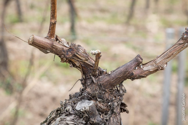 selection livre alsace biodynamie