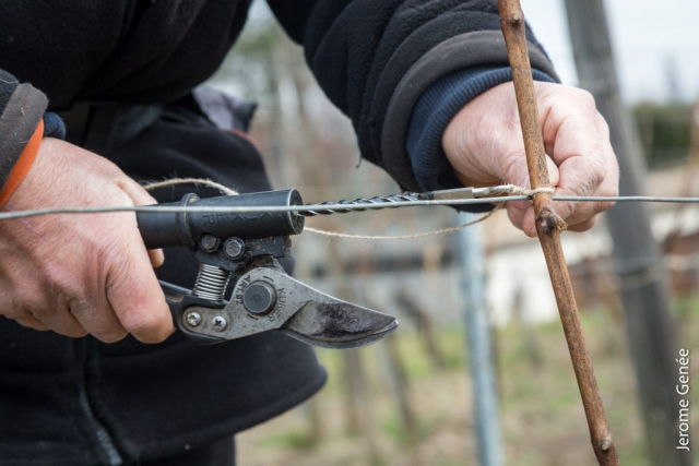 selection livre alsace biodynamie