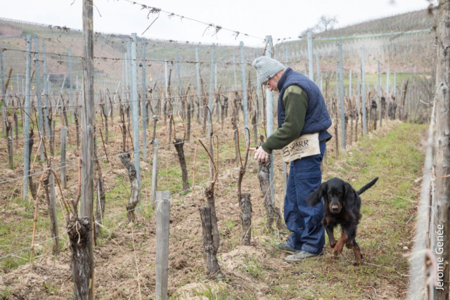 selection livre alsace biodynamie