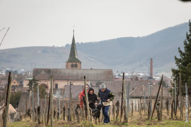 selection livre alsace biodynamie