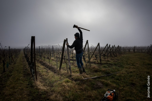 selection livre alsace biodynamie