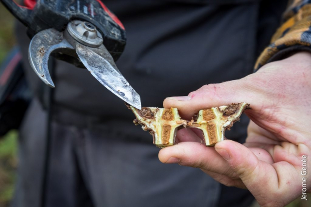 selection livre alsace biodynamie