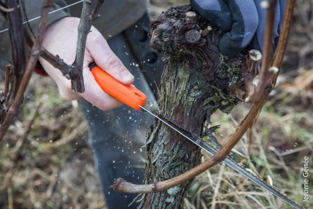 selection livre alsace biodynamie