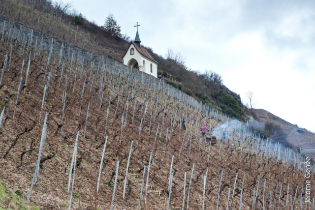 selection livre alsace biodynamie