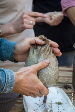 selection livre alsace biodynamie