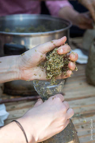 selection livre alsace biodynamie