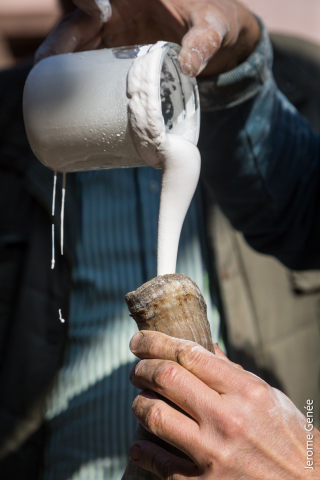 selection livre alsace biodynamie