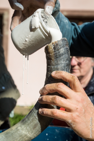 selection livre alsace biodynamie
