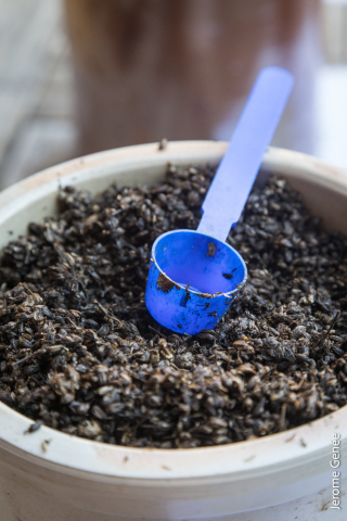 selection livre alsace biodynamie