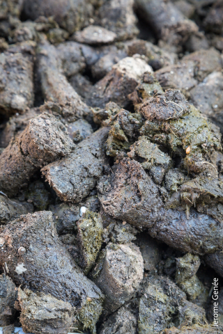 selection livre alsace biodynamie