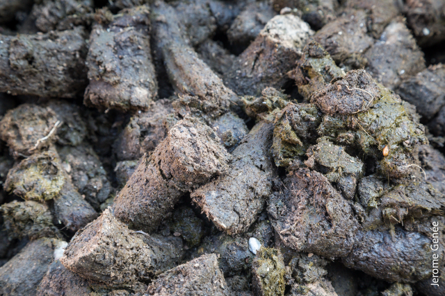 selection livre alsace biodynamie