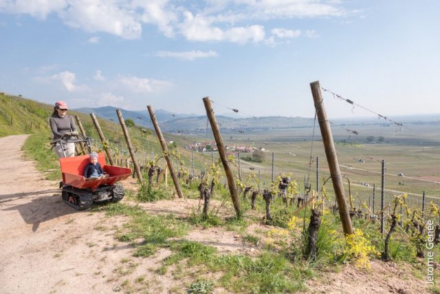 selection livre alsace biodynamie