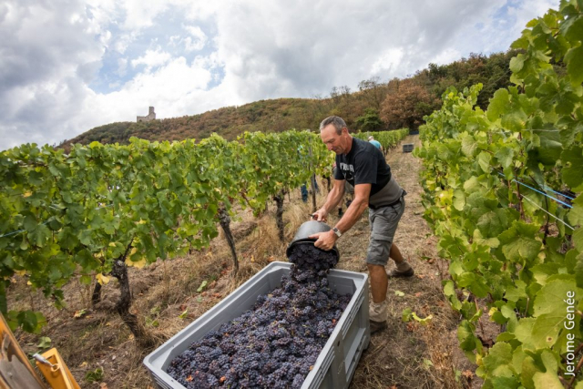 selection livre alsace biodynamie