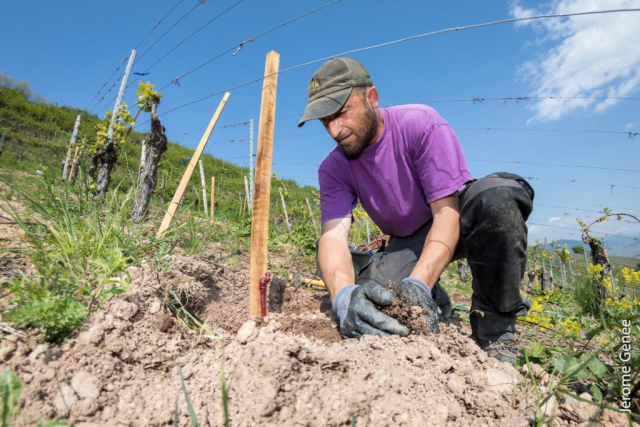 selection livre alsace biodynamie