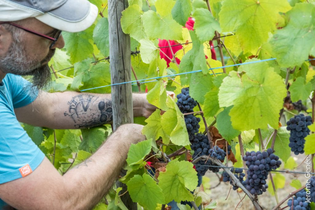 selection livre alsace biodynamie
