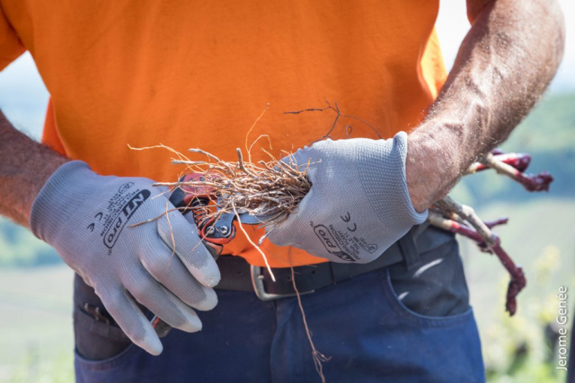 selection livre alsace biodynamie