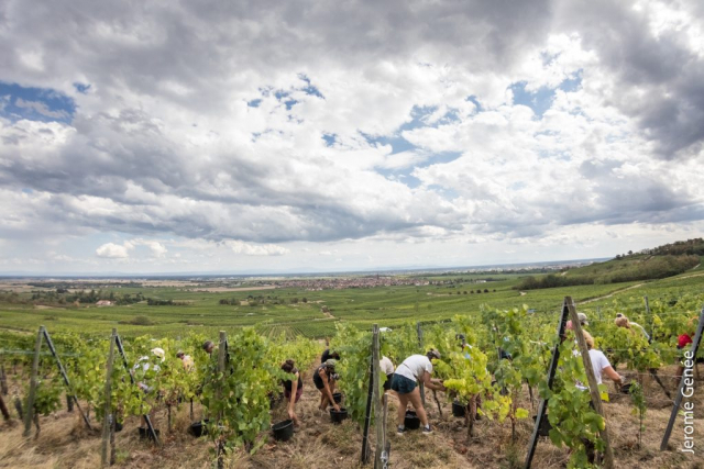 selection livre alsace biodynamie