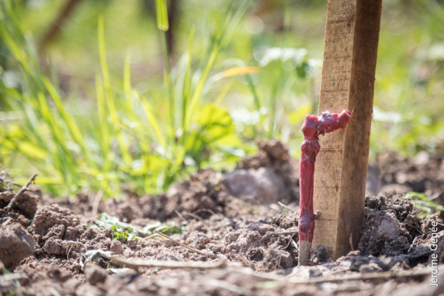 selection livre alsace biodynamie