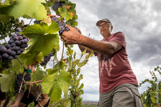 selection livre alsace biodynamie