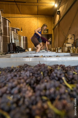 selection livre alsace biodynamie