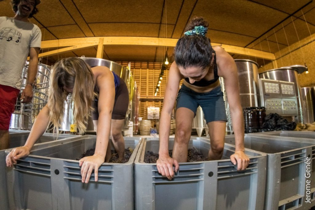 selection livre alsace biodynamie