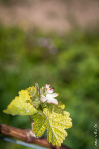 selection livre alsace biodynamie