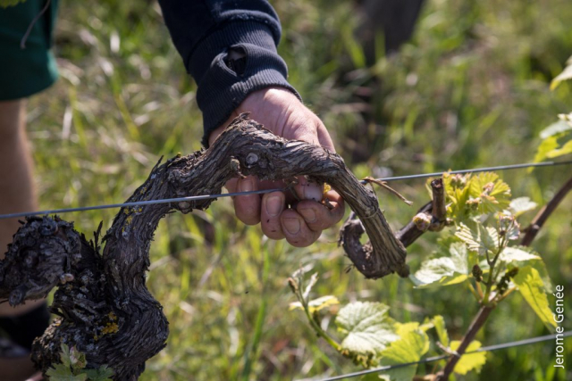 selection livre alsace biodynamie