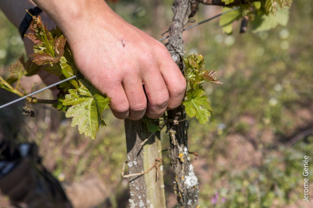 selection livre alsace biodynamie