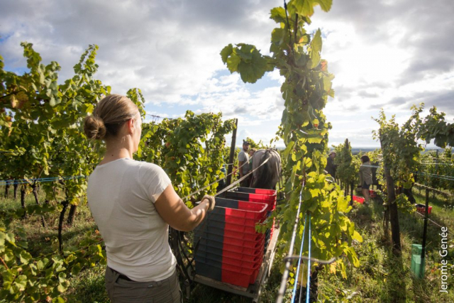 selection livre alsace biodynamie