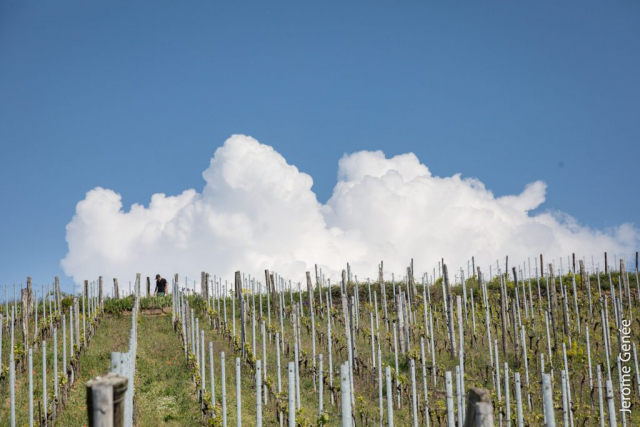 selection livre alsace biodynamie