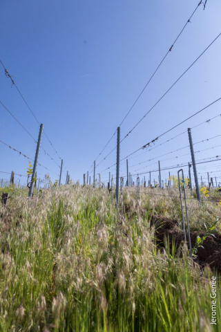 selection livre alsace biodynamie
