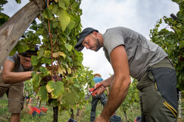 selection livre alsace biodynamie
