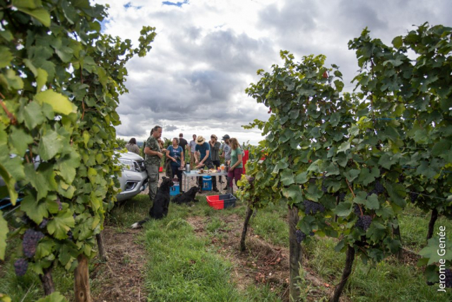 selection livre alsace biodynamie