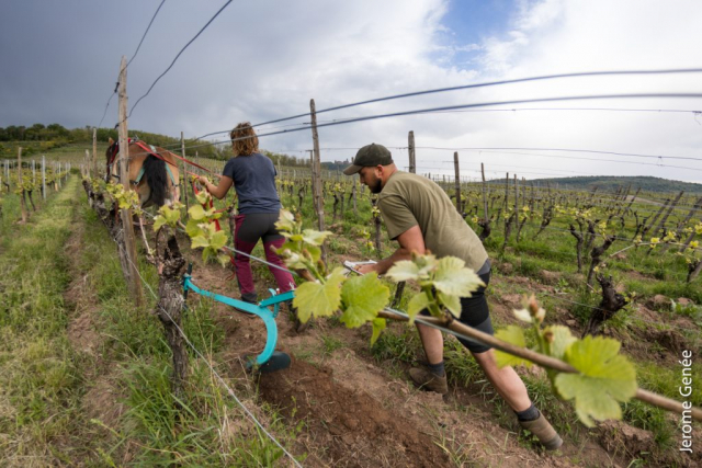 selection livre alsace biodynamie