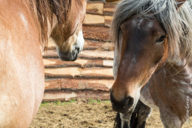 selection livre alsace biodynamie