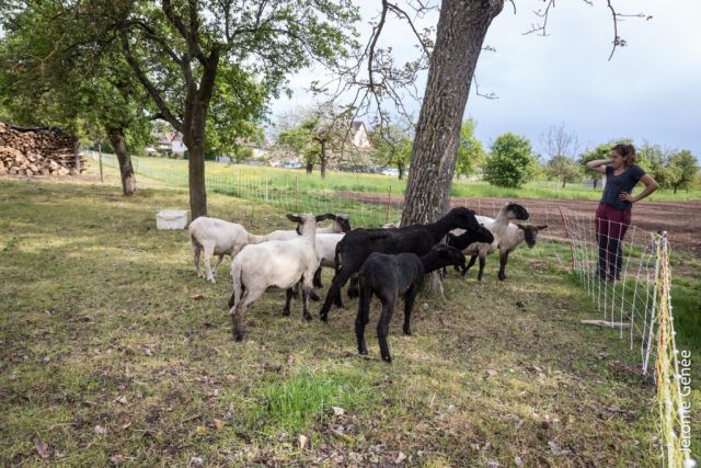 selection livre alsace biodynamie