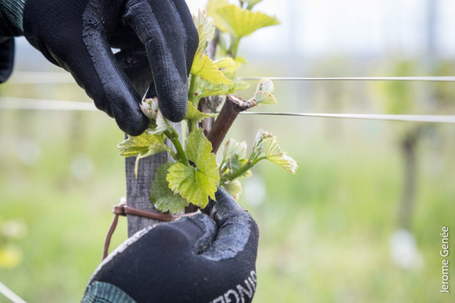 selection livre alsace biodynamie