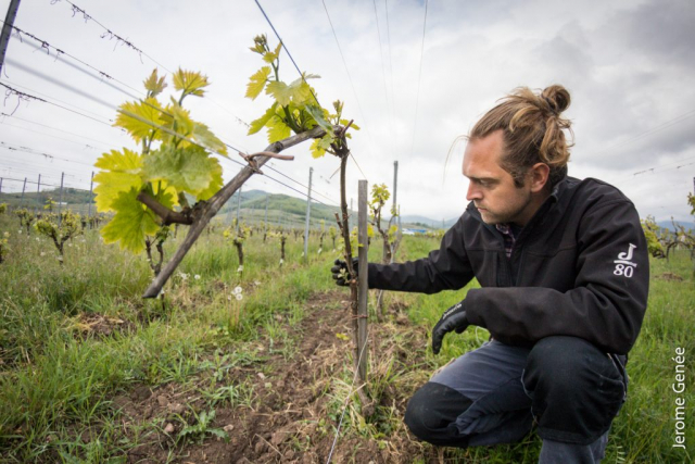 selection livre alsace biodynamie