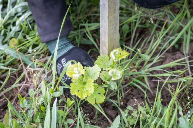 selection livre alsace biodynamie