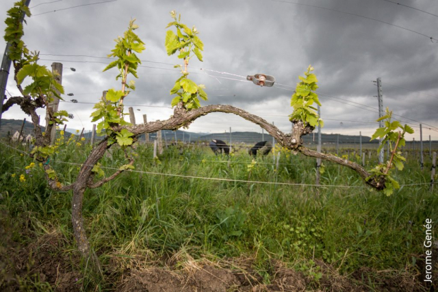 selection livre alsace biodynamie