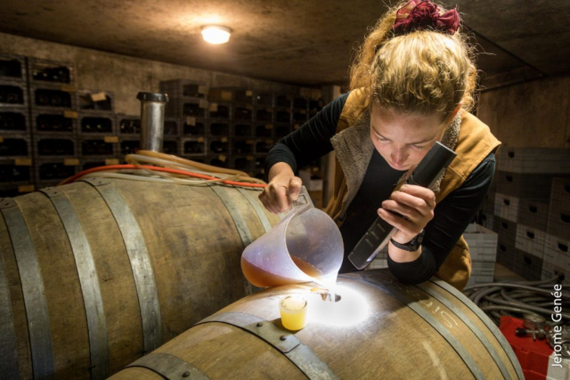 selection livre alsace biodynamie